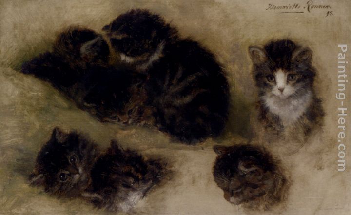 Studies Of Kittens painting - Henriette Ronner-Knip Studies Of Kittens art painting